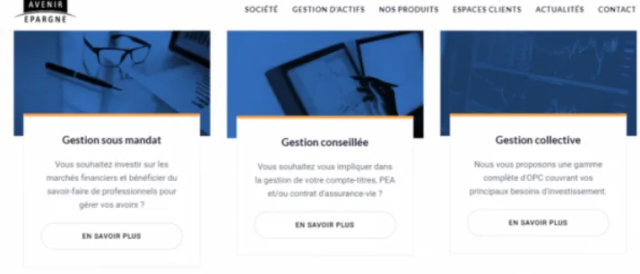 Mentions légales du site avenir-epargne.com évoquant le droit anglais sur un site francophone