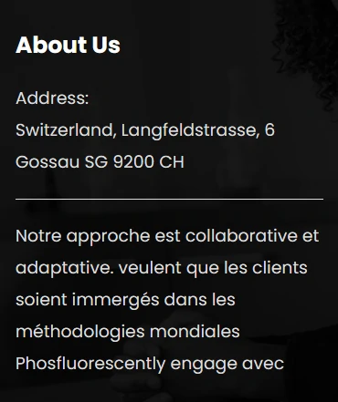 Mentions pas du tout légales en pied de page de megainvestco