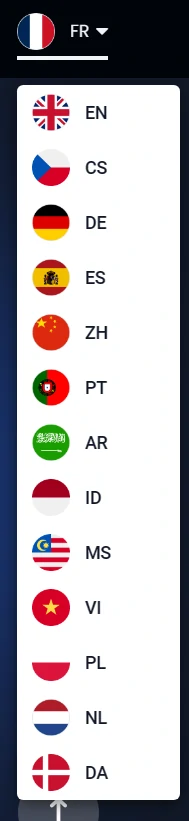 T4Trade, les langues au cœur du problème