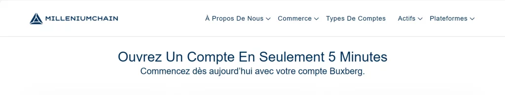 Milleniumchain alias Buxberg, arnaque en ligne