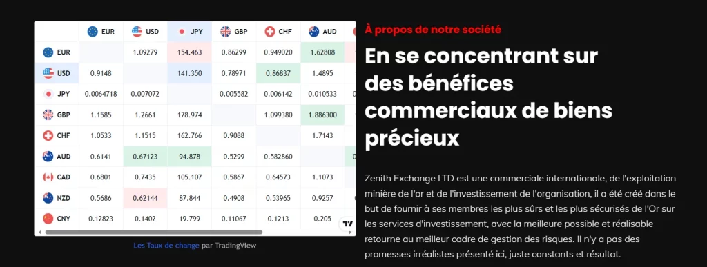 Zenith Exchange, arnaque aux textes douteux