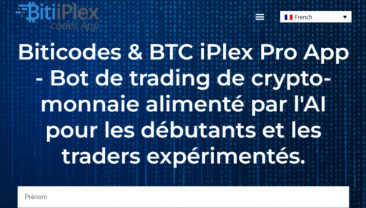 Page d'accueil du faux site de robot Biticodes