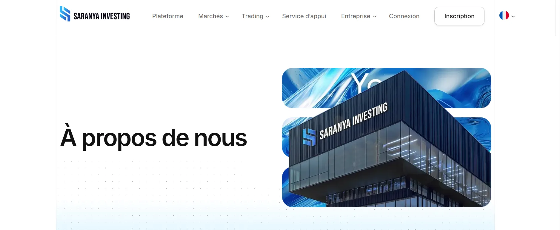 Capture d’écran de plateforme SARANYA INVESTING avec fausses données de volume de trading